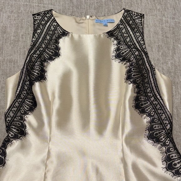 Sz 14 champagne satin sheath dress Antonio Melani black lace knee length - Picture 3 of 8